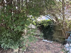 Garden- click for photo gallery